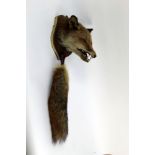 Taxidermy - A fox mask and brush,