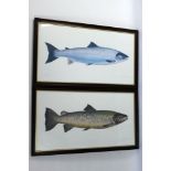 Rod Sutterby (Roderick), two signed limited edition prints of salmon, numbered 55/500 and 82/500,