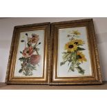 Two gilt framed floral pictures on glass