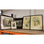 Collection of framed prints, Maysons of Keswick photograph of Borrowdale, two bird prints,