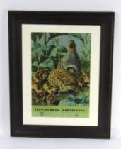 After Charles Frederick Tunnicliffe, an Eley Kynoch cartridge display board,
