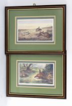 Three prints, two by Archibald Thorburn depicting Grey or English Partridge and Pheasants,