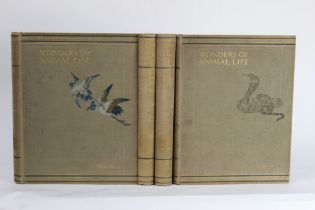 Wonders of Animal Life in four volumes, edited by J.A. Hammerton.