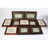 Ten framed collections of salmon and sea trout flies.