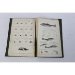 British Angling Flies, published by Simpkin Marshall & Co Stationers Hall Court Ripon,