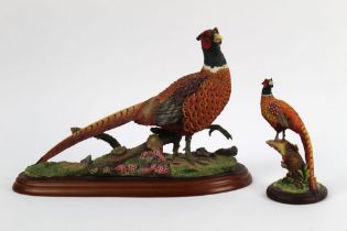 Border Fine Arts a pheasant by Russell Willis model A1475,