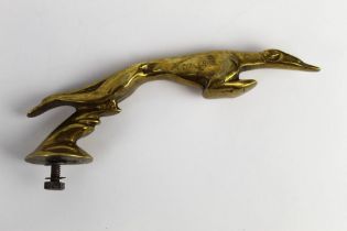 An early to mid 20th century brass greyhound car mascot, nose to tail +/- 20 cm.