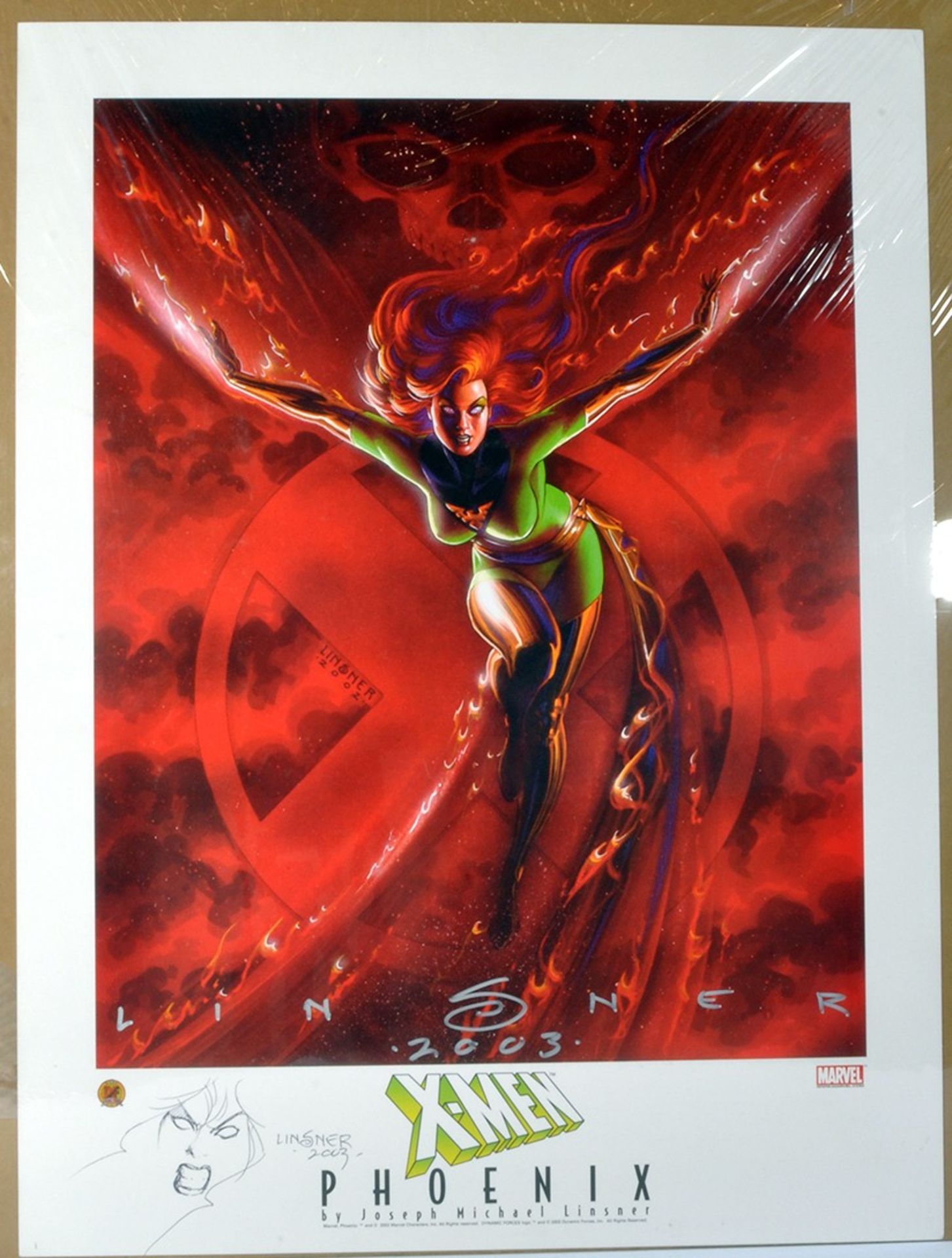 A Limited Edition Signed and Sketch (large) Artwork Print depicting X-Men Phoenix by Jospeth Michael