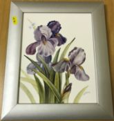 JAMES SKERRET "Iris" a botanical study, oil on porcelain panel, signed lower right,