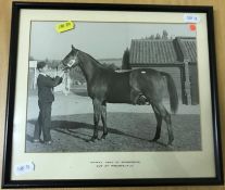 A box containing a collection of various horse racing photographs including "Merry Yarn by Agressor