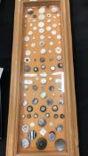 A frame containing a display of mainly mother of pearl and other shell buttons of varying shapes