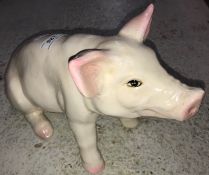 A 20th Century glazed pottery figure of a seated piglet 33 cm long x 21 cm high