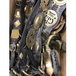 A collection of various martingales with horse brasses, one pair with swingers,
