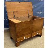 A 19th Century mule chest with rising lid over two drawers with pottery handles,