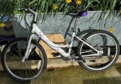 A Dawes girls' bike, various garden cane