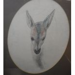 JOHN RATTENBURY SKEAPING (1901-1980) "Head of a doe fawn" charcoal and pastel,