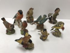 A collection of various painted porcelain bird figures including Royal Worcester "Kingfisher"