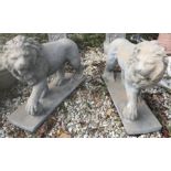 A pair of composite stone lions each with paw raised on a ball 56 cm high x 71 cm long x 20 cm wide