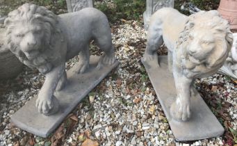 A pair of composite stone lions each with paw raised on a ball 56 cm high x 71 cm long x 20 cm wide