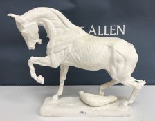 An undecorated plaster anatomical study of a standing horse with front left leg raised in the