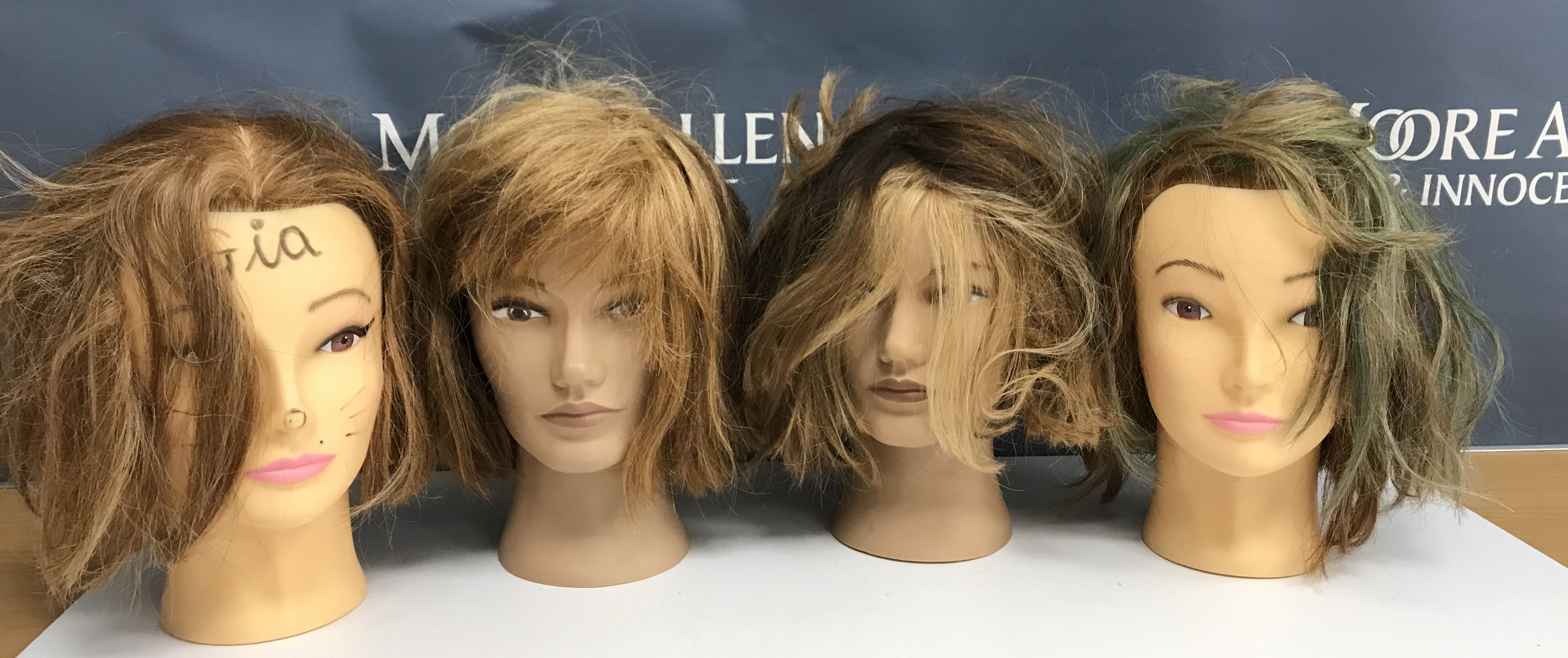 A collection of four mannequin/hairdressing heads,