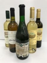 Fifteen various white wines including Casa Nueva Sauvignon Blanc 2019 x 3, Casa Nueva 2021 x 2,