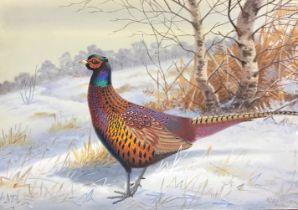 PHILIP RICKMAN "Pheasant in snowy landsc