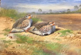 PHILIP RICKMAN "English Partridge", wate