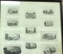 A framed and glazed collection of eleven