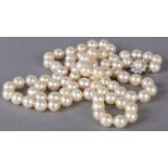 A CULTURED PEARL NECKLACE fastened with a diamond and pearl cluster snap in white metal (tests as