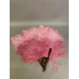 A 1920’s shaded raspberry ostrich feather fan, the upper feathers sugar candy pink, the monture faux
