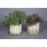 A pair of cast garden octagonal planters, approximately 34cm diameter x 33cm high