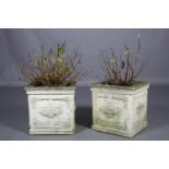 A pair of cast garden planters, of square outline of classical design, containing hydrangea, 41cm