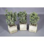 A set of three cast garden planters of square outline, containing variegated plant, 26cm square x