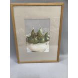 Jane Cattlin, still life of pears in a bowl, watercolour, signed and dated 04 to lower left, 36cm by