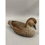 A carved and painted treen model of a pintail female (anas acuta acuta) by David Patrick-Brown,