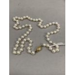 A necklace of fresh water cultured pearls fastened with a 9ct gold strap