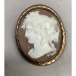 A Victorian shell cameo brooch in gilt base metal, the oval female portrait with vine dressed hair