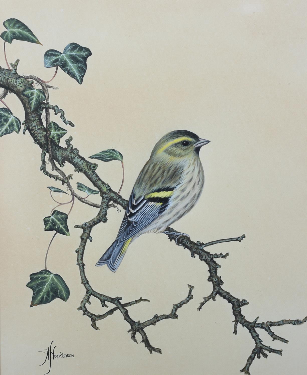 ANNE HOPKINSON 20TH CENTURY, Chaffinch, male and female, perched on the branches of a cherry tree,