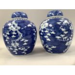 A PAIR OF LATE 19TH CENTURY CHINESE GINGER JARS with domed covers, painted in blue and white with