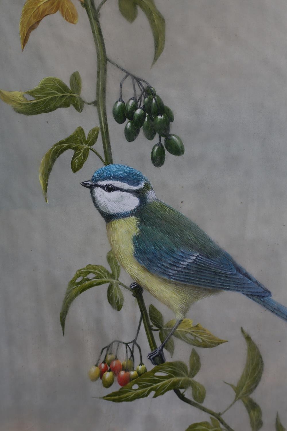 ARR DAVID SMITHURST (1942-2001), Eurasian Blue Tit perched on a branch of a woody nightshade, - Image 2 of 4