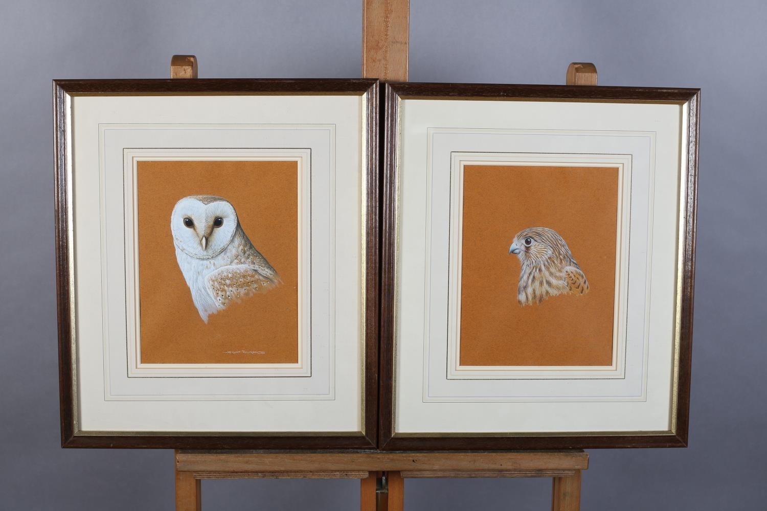 ARR W GEOFF ROLLINSON (b.1946), Kestrel and Barn Owl, a pair, watercolour and gouache, signed and - Image 3 of 3