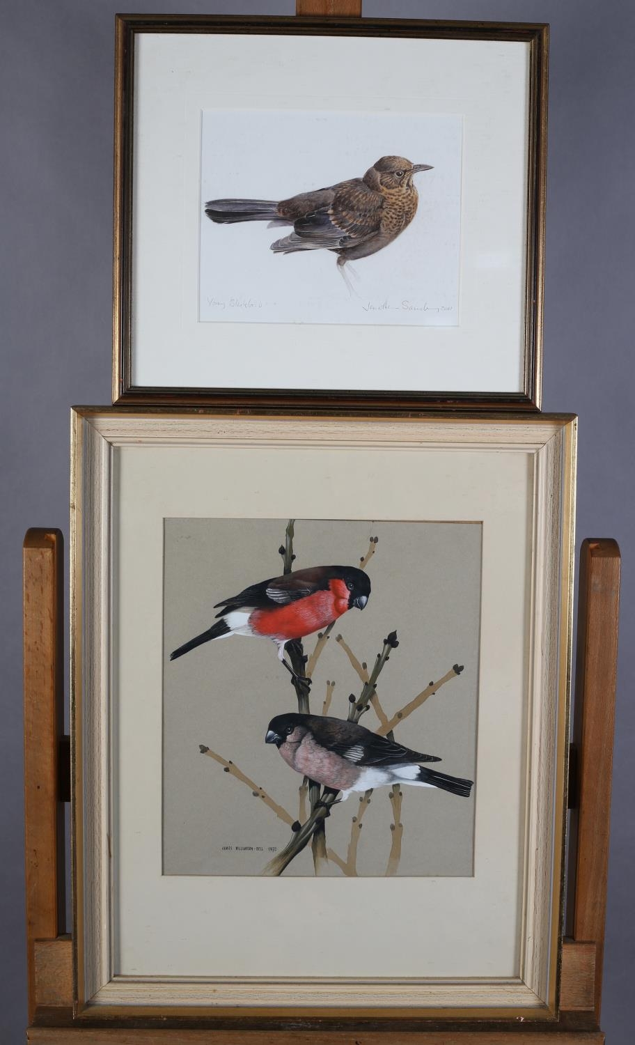 ARR JAMES WILLIAMSON-BELL (1938-2009), Bullfinch, male and female, perched on willow branches, - Image 3 of 3