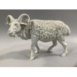 A LATE 19TH BLANC DE CHINE FIGURE OF A BILLY GOAT, unmarked, 18cm high x 25cm long (chip to one back