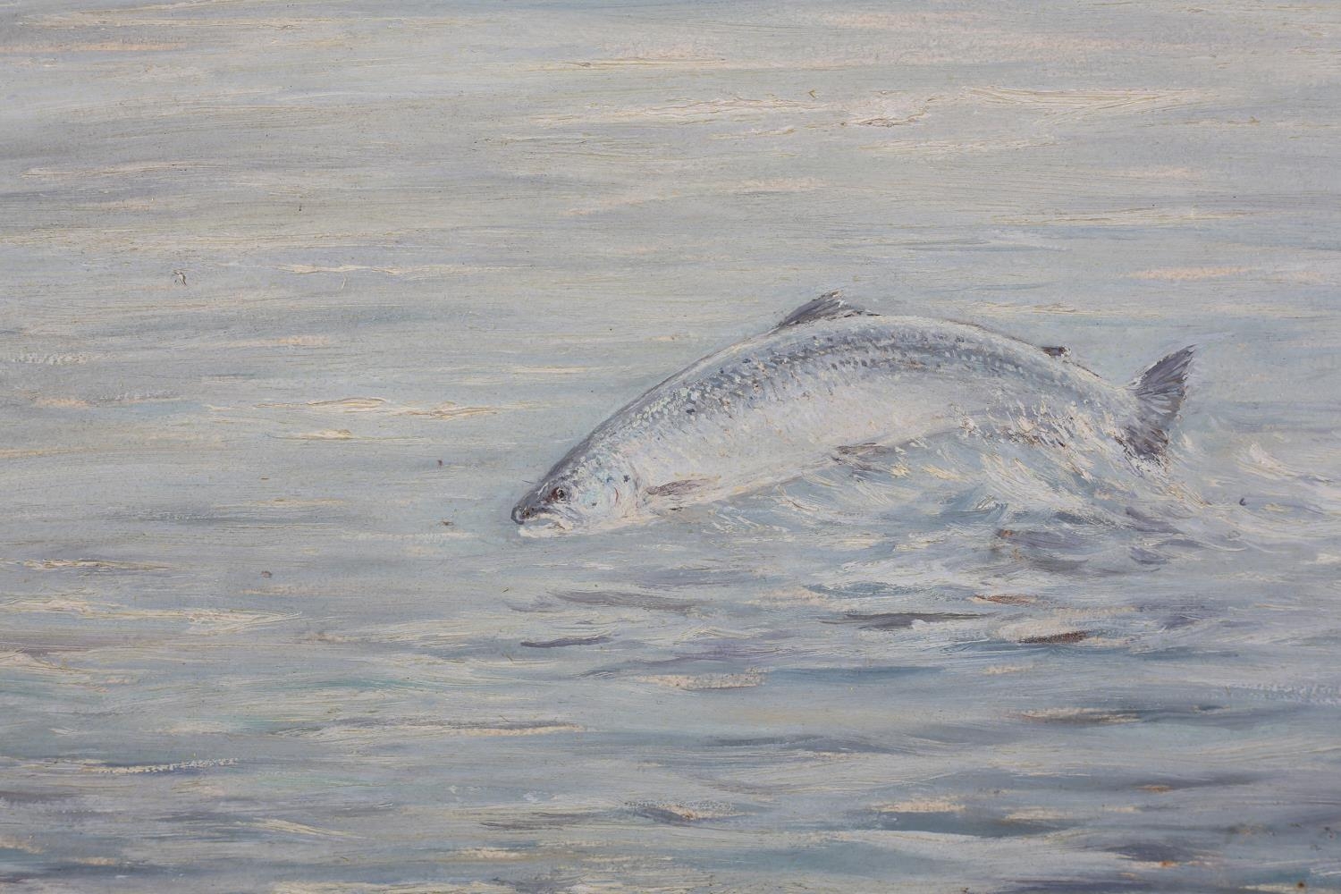 ARR WILLIAM ELLIS BARRINGTON-BROWNE (1908-1985), Study of a Salmon, in open water, oil on board, - Image 3 of 5