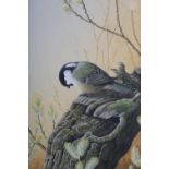 ARR W GEOFF ROLLINSON (b.1946), Great Tit perched on a branch with pussy-willow, gouache, 29.5cm x