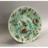 19th century famille rose plate on celadon ground, painted with exotic bird, butterflies and
