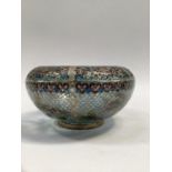 Chinese plique du jour bowl on blue ground, enamelled with fish and flowers, in perspex cube 14cm