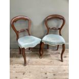 Two mahogany balloon back dining chairs with pale green upholstered seats