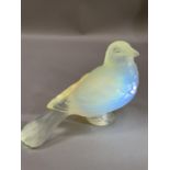 A FRENCH CESARI OPALESCENT GLASS CAR MASCOT, moulded mark to underside of the wing, 9cm high by 12.